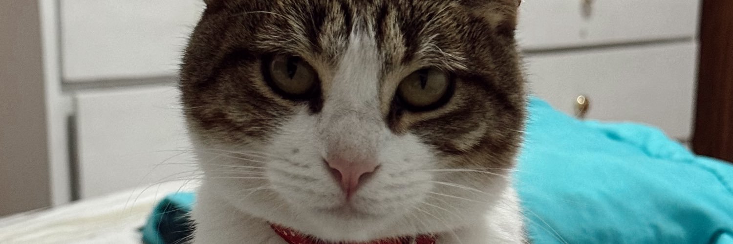 yesenialdls's profile banner image
