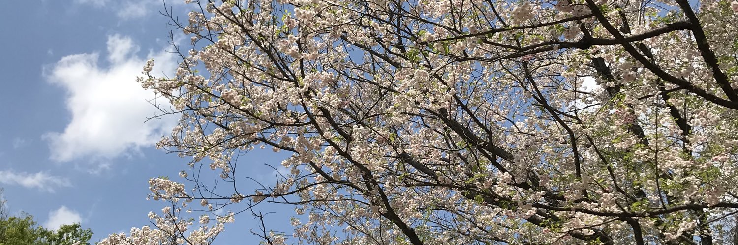 onemama's profile banner image