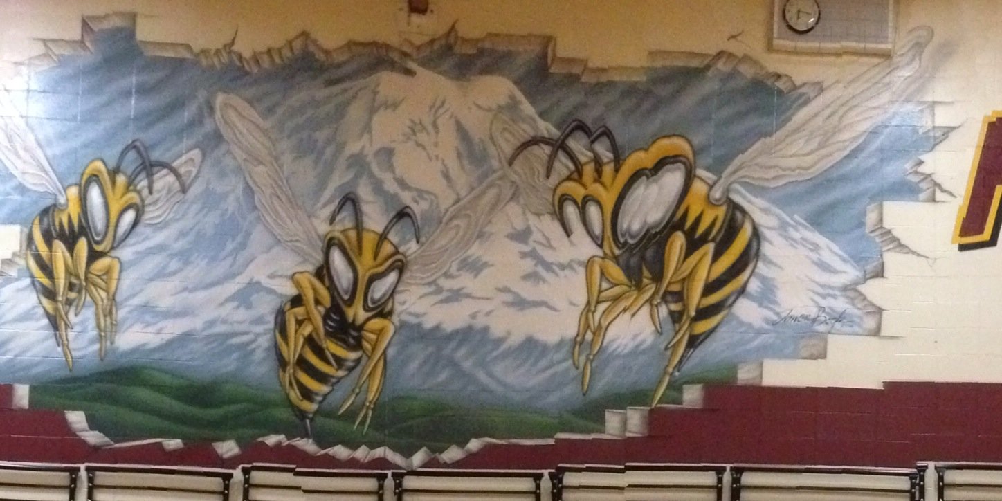 EHS Athletics banner