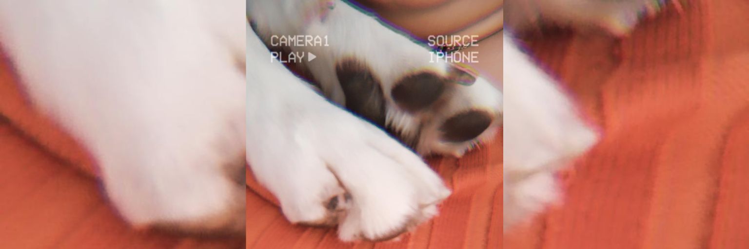Escdaniela6's profile banner image