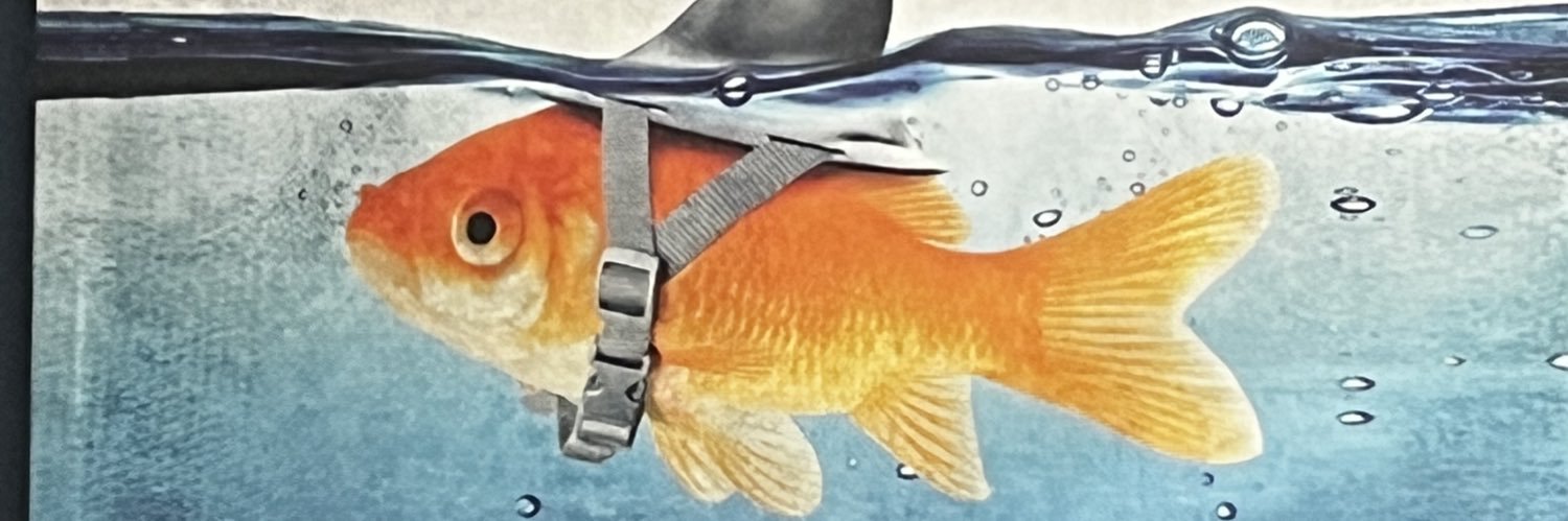 CoachDA991's profile banner image
