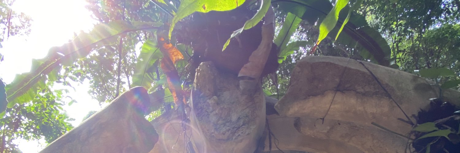 LauWengFai's profile banner image