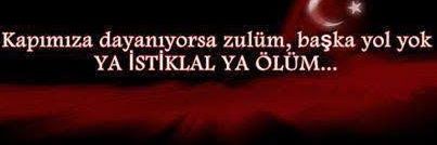 fethiyalim's profile banner image