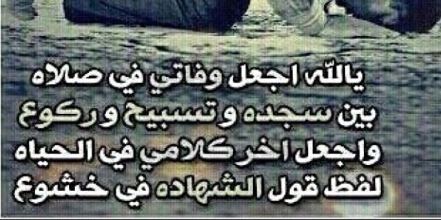abdullah63033's profile banner image