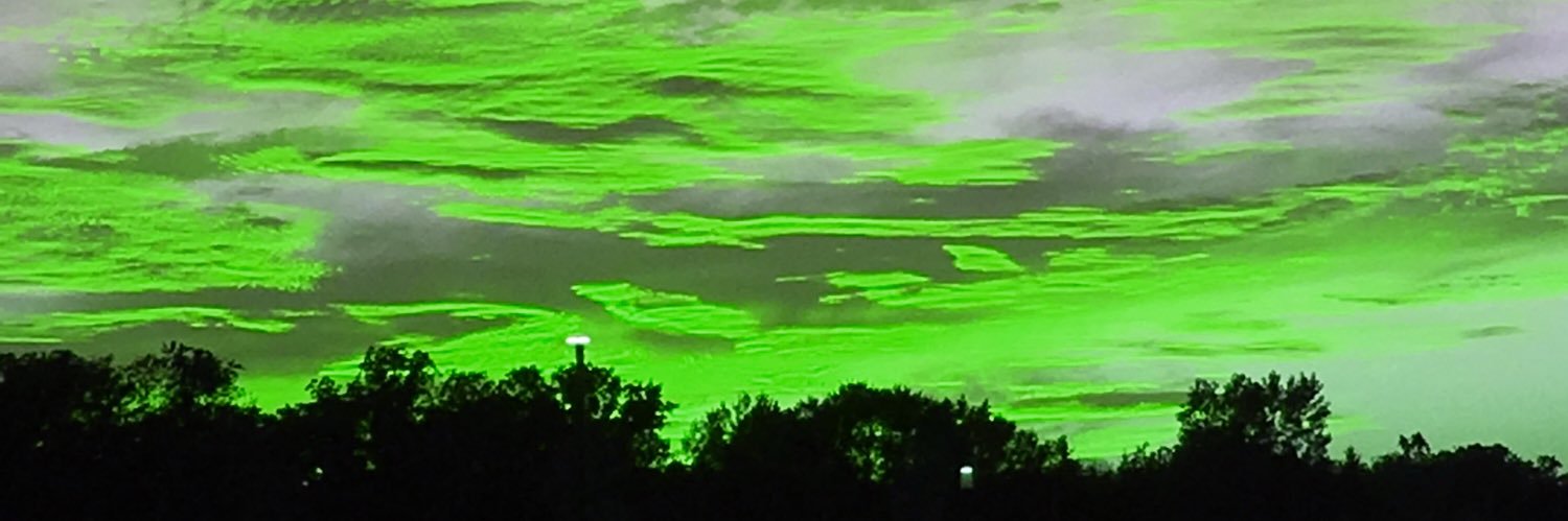 Bambi {REDACTED} banner