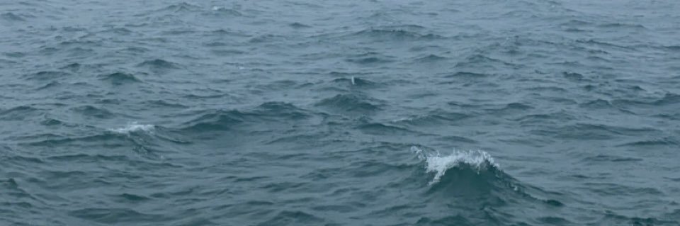 MontgomeryLizzi's profile banner image