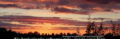 L.Mort Dakest banner