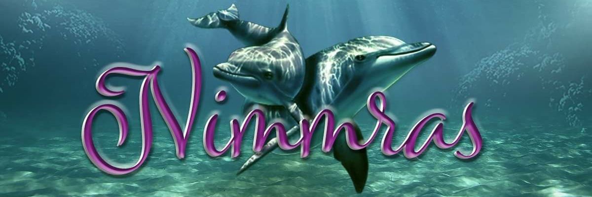 Nimmras's profile banner image