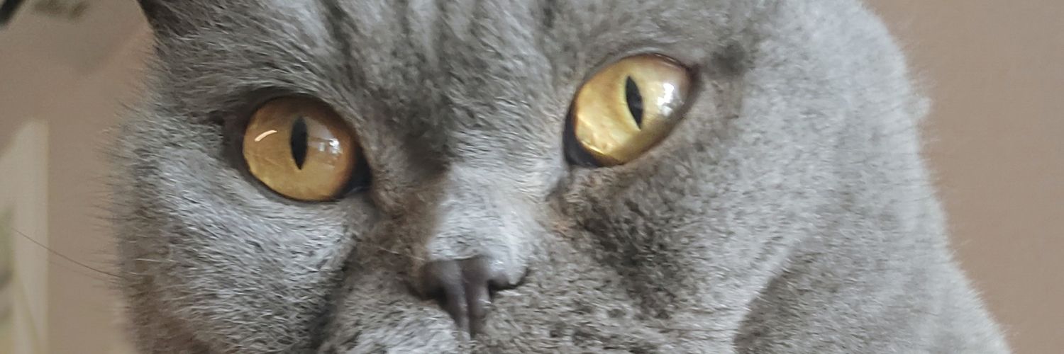 duanray's profile banner image