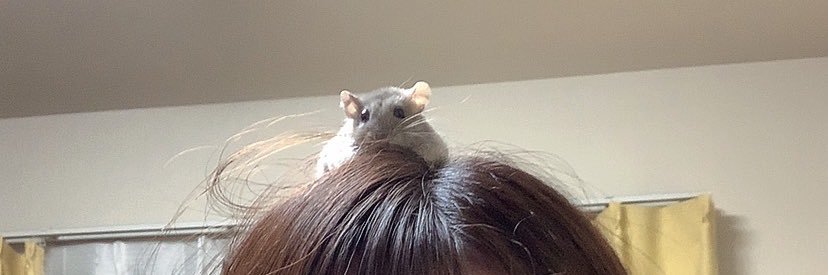 myumyuham's profile banner image