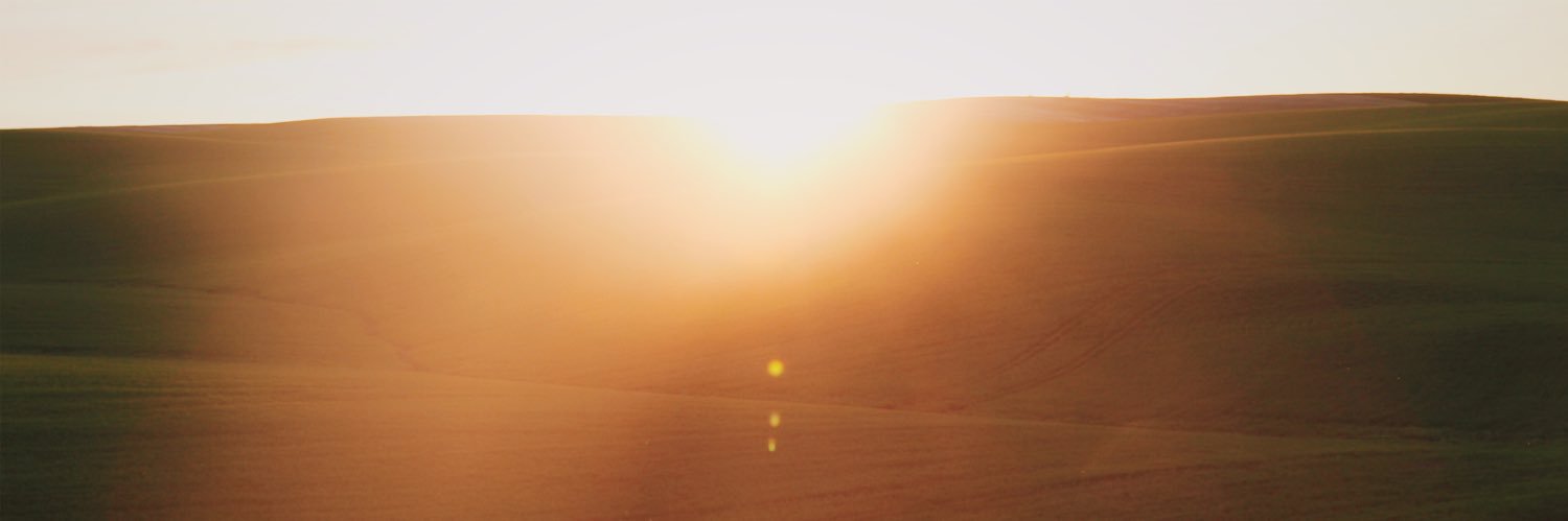 MaeBae99's profile banner image