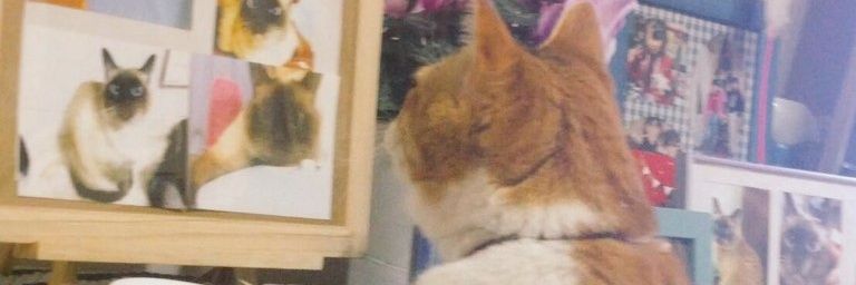 mikerin5's profile banner image