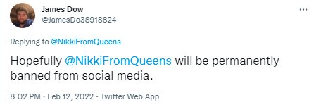 (((Nikki From Queens))) Jew-Lo. banner