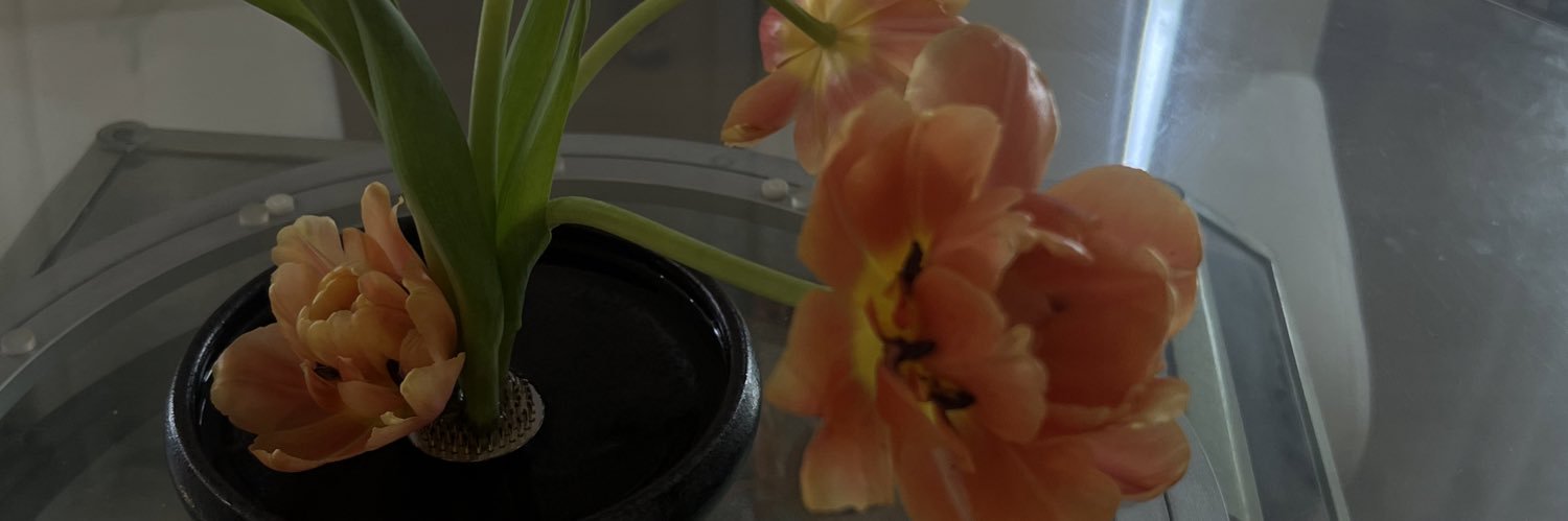 ash_chiang's profile banner image