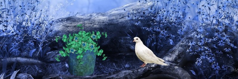 JodiFPoore's profile banner image