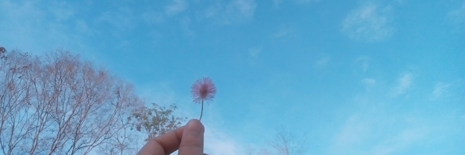 sunxsunny1's profile banner image