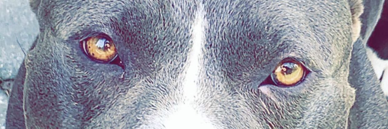 killiannn11's profile banner image