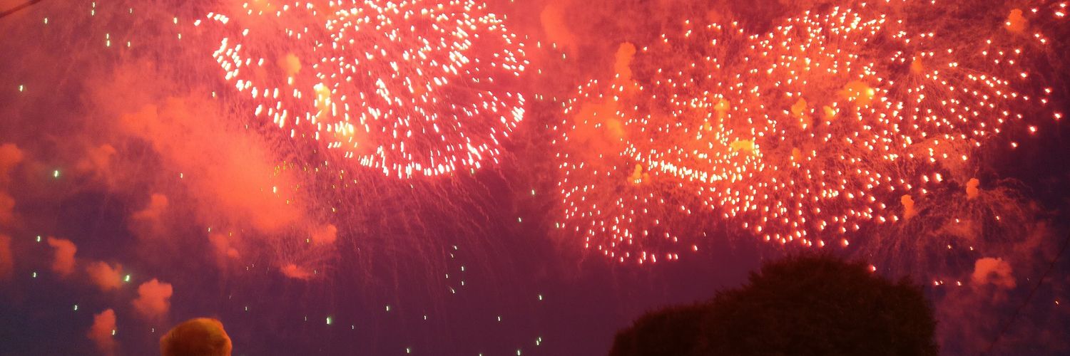 lizabing's profile banner image