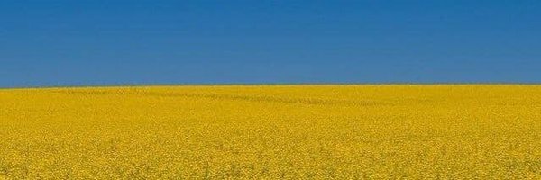 Blancko Profile Banner