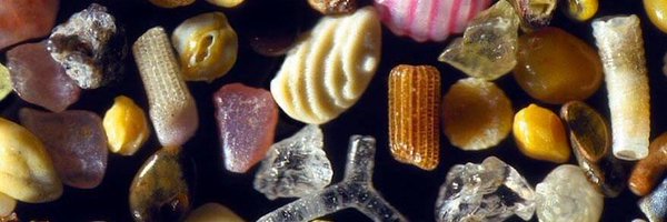 microscopic images. Profile Banner