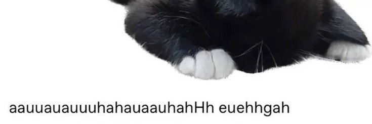 unsocialfrog's profile banner image