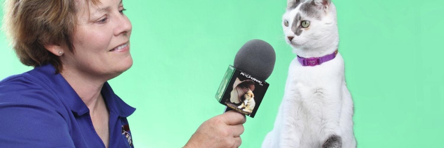 Arden Moore banner