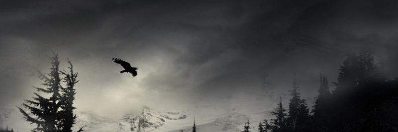 UnicorAnna's profile banner image