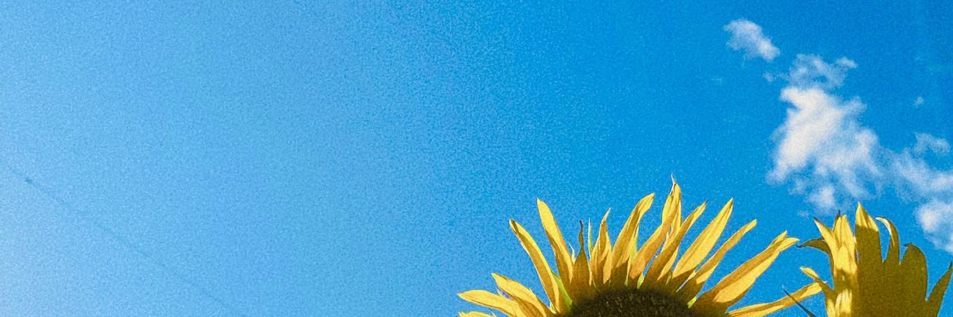 agoname's profile banner image