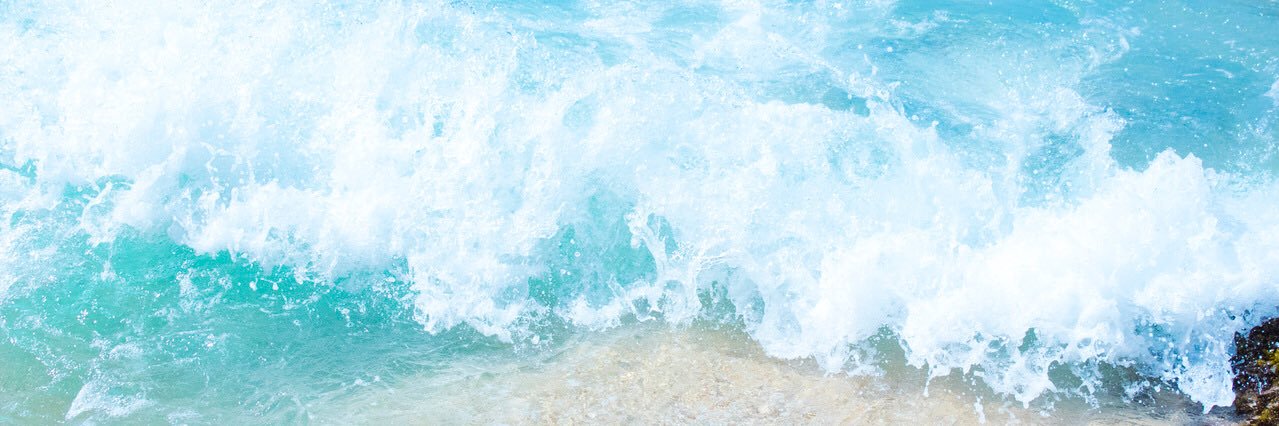 thereseannc's profile banner image