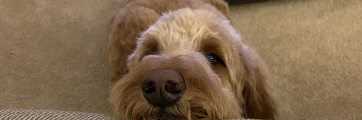 Fiddelstickss's profile banner image