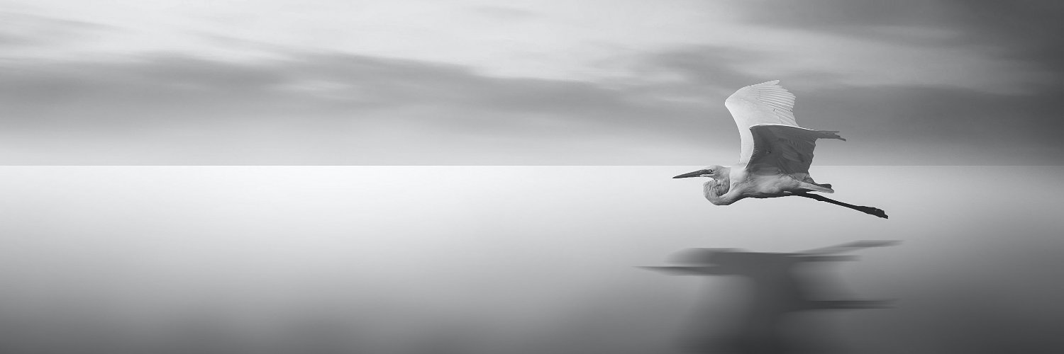 cvaca's profile banner image