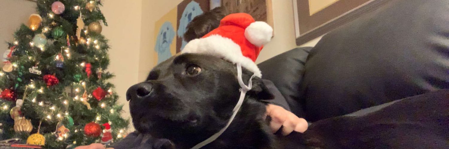 Jonathan Wade banner