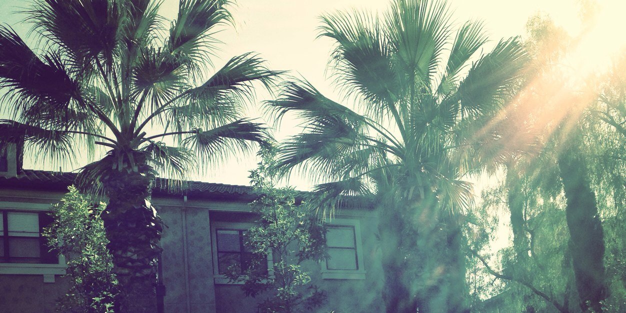 LizbethVeronica's profile banner image