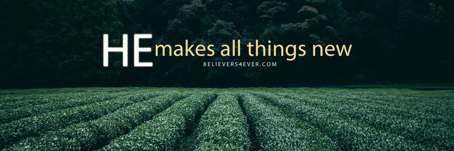 malinievergreen's profile banner image