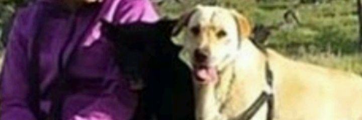 CarmenCaRod's profile banner image
