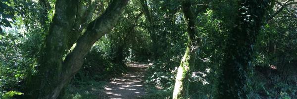 chortasn Profile Banner