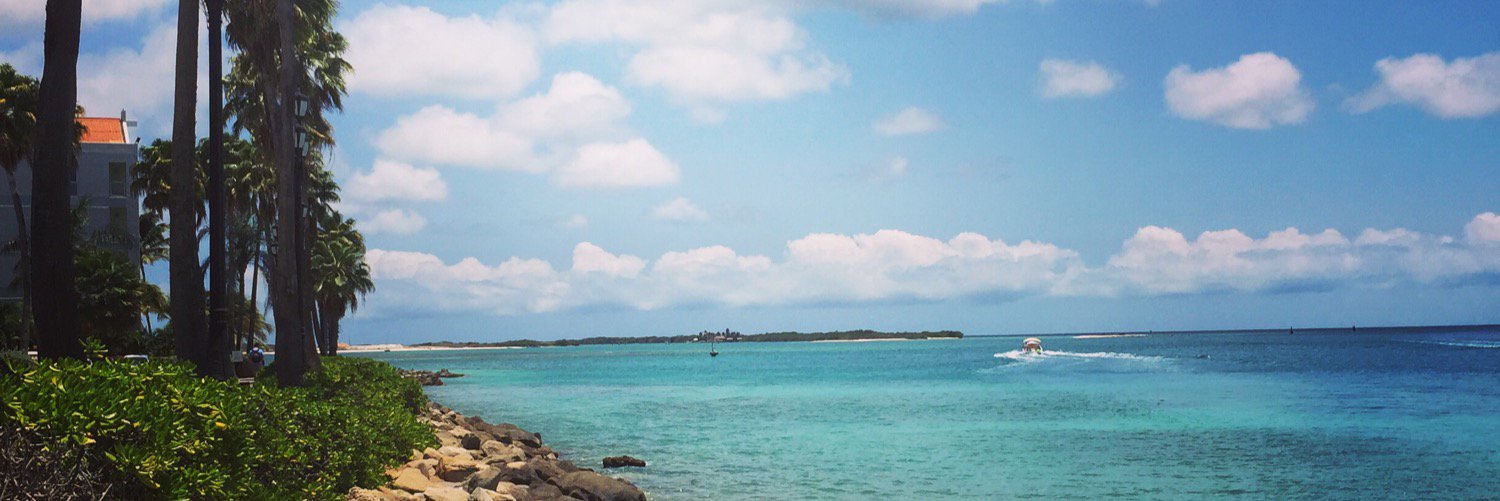 Rebecca Bainer banner