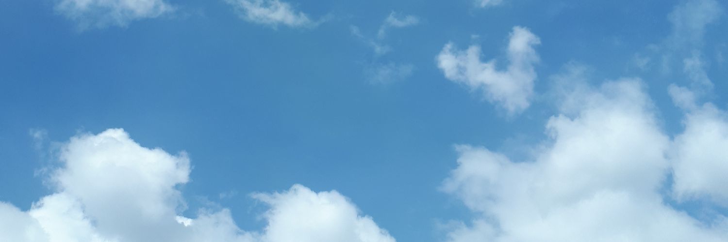 dsydlsrys's profile banner image