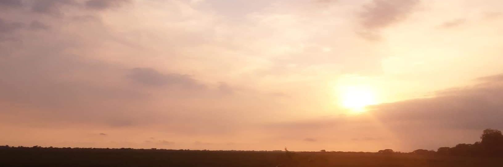 Cynthia Castillo banner