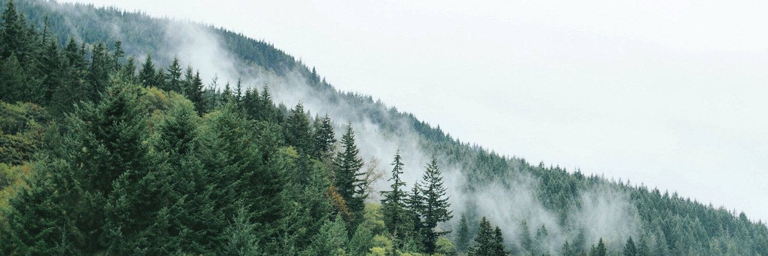 abbytohline's profile banner image