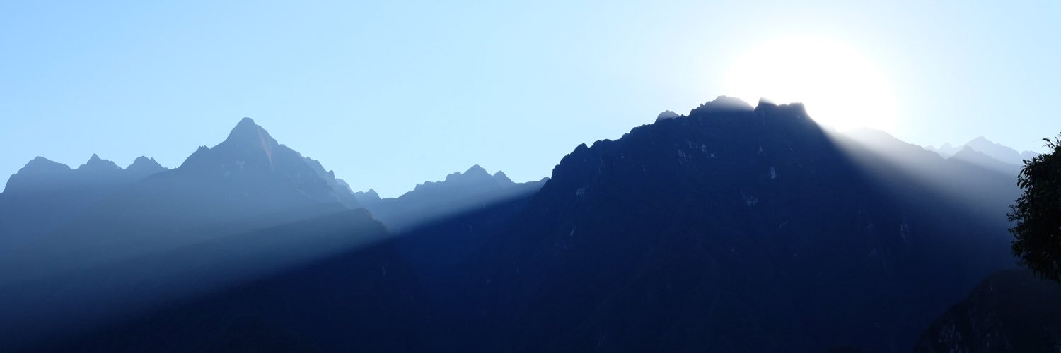 Travis Favaron banner