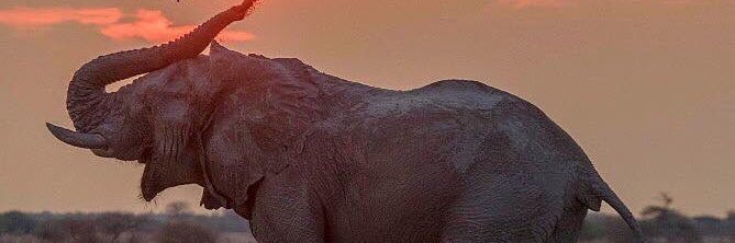 HeyItssRobin_'s profile banner image