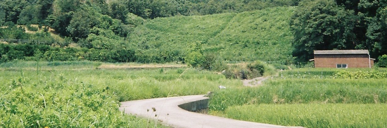 松本いづみ banner