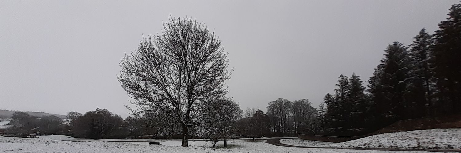 ReindeerPate's profile banner image