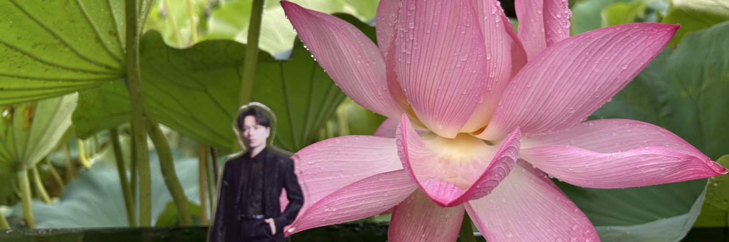 theyong12's profile banner image
