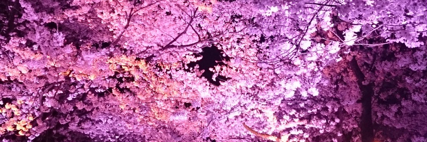 ayaaaa_16_'s profile banner image