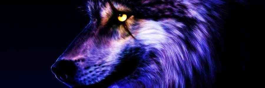 elleblaze's profile banner image