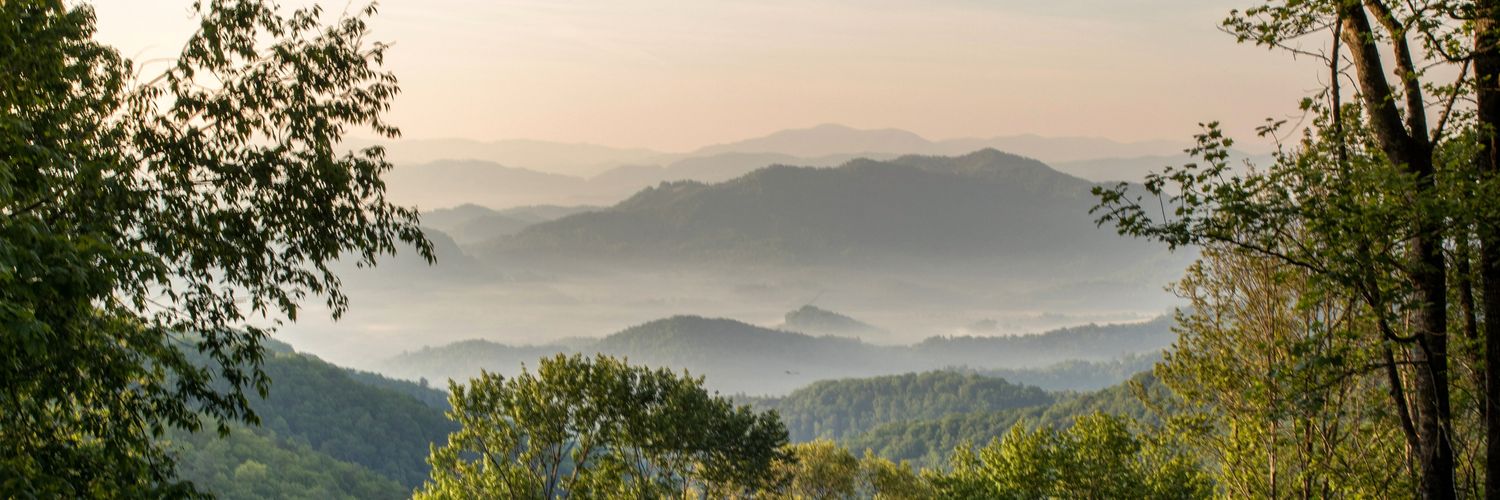 mistymeyer75's profile banner image