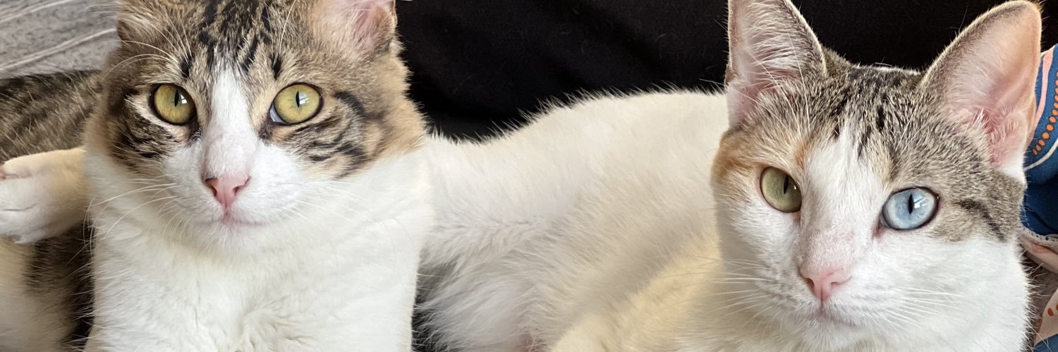 minchick's profile banner image
