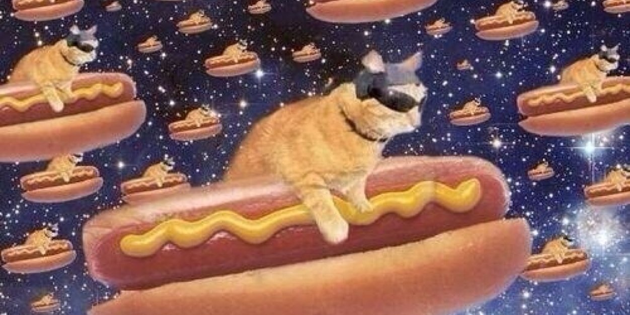 CatSpacePics's profile banner image